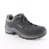 Lowa Lowa RENEGADE GTX LO - Wijdte G
