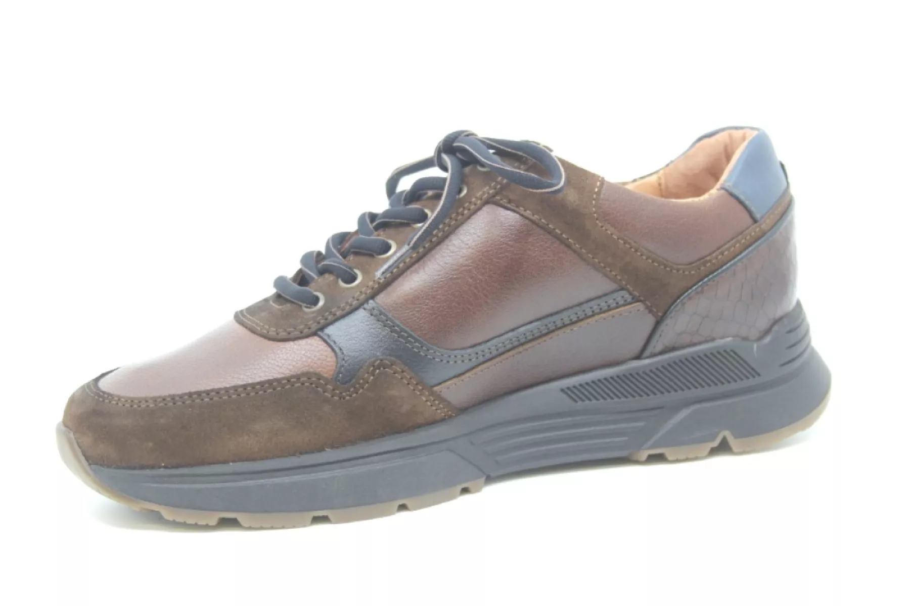 10347-connery-h-bruin-2 10347 10347 CONNERY H - Wijdte H